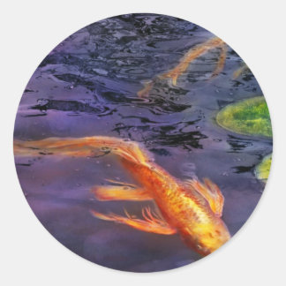 Tier - Fisch - Es gibt etwas an Koi Runder Aufkleber