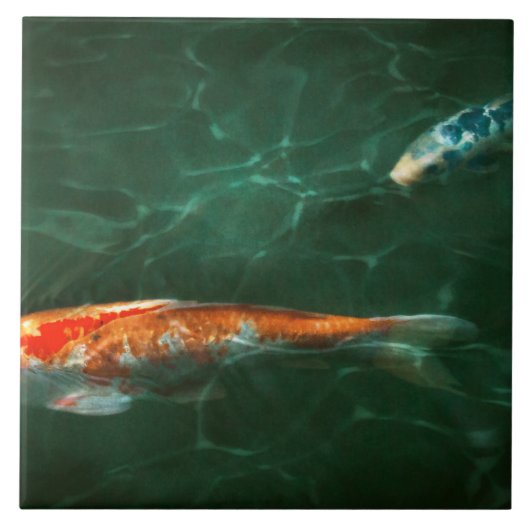 Tier - Fisch - Koi - Eine weitere Fischgeschichte Fliese (Vorderseite)