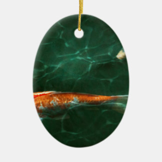 Tier - Fisch - Koi - Eine weitere Fischgeschichte Keramik Ornament