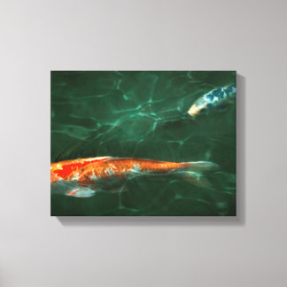 Tier - Fisch - Koi - Eine weitere Fischgeschichte Leinwanddruck