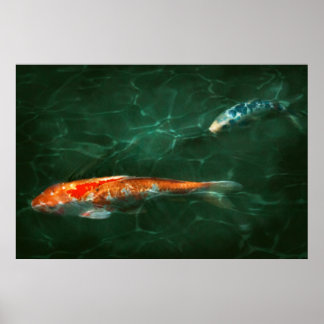 Tier - Fisch - Koi - Eine weitere Fischgeschichte Poster
