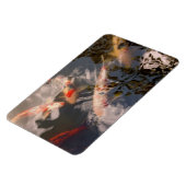 Tier - Fisch - Koi sein Magnet (Linke Seite)