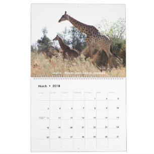Tier-Foto-Kalender 2018 Kalender