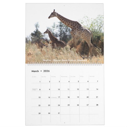 Tier-Foto-Kalender 2018 Kalender (Mär 2026)