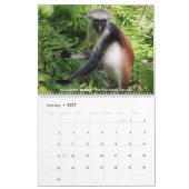 Tier-Foto-Kalender 2018 Kalender (Jan 2027)