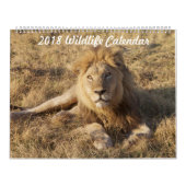 Tier-Foto-Kalender 2018 Kalender (Titelbild)