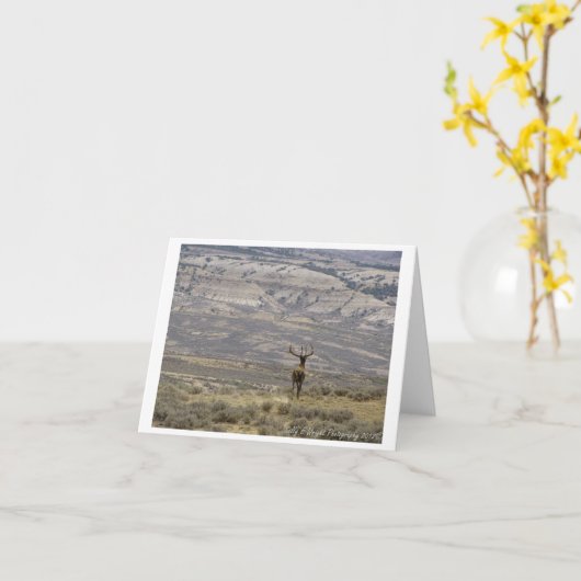 Tier-Fotografie-Anmerkungs-Karten-Entwurf 1 Karte (Gelbe Blume)