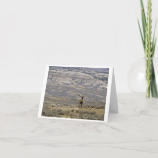Tier-Fotografie-Anmerkungs-Karten-Entwurf 1 Karte