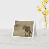 Tier-Fotografie-Anmerkungs-Karten-Entwurf 3 Karte (Gelbe Blume)