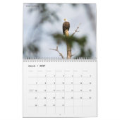 Tier-Fotografie-Sammlungs-Kalender Kalender (Mär 2027)