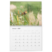 Tier-Fotografie-Sammlungs-Kalender Kalender (Jan 2027)