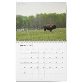 Tier-Fotografie-Sammlungs-Kalender Kalender (Feb 2027)
