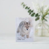 Tier-Führer-Kojote-Visitenkarte Visitenkarte (Stehend Vorderseite)