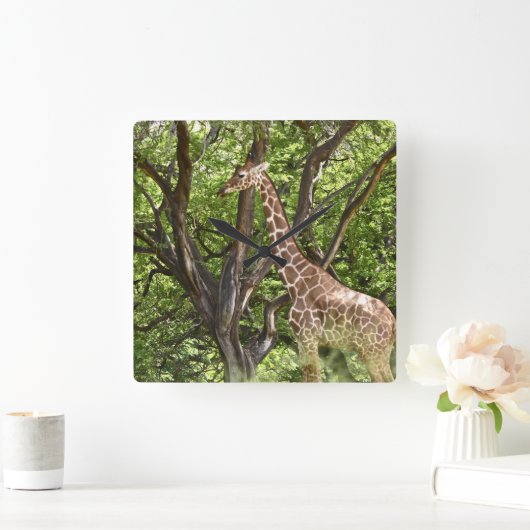 Tier Giraffe Wall Clock Quadratische Wanduhr (Zuhause)