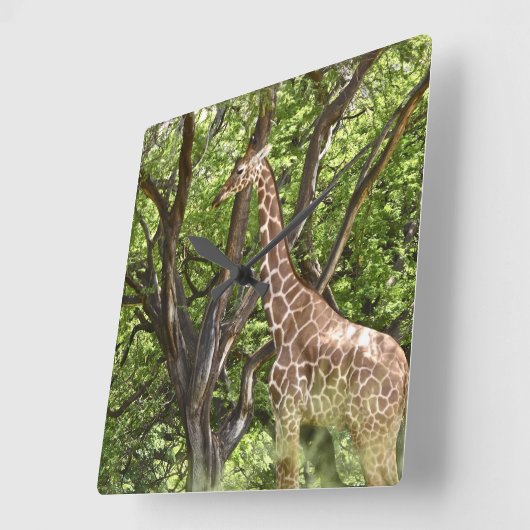 Tier Giraffe Wall Clock Quadratische Wanduhr (Winkel)