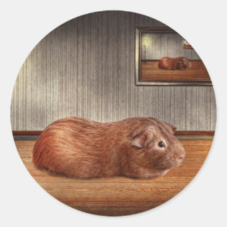 Tier - Guinea Runder Aufkleber