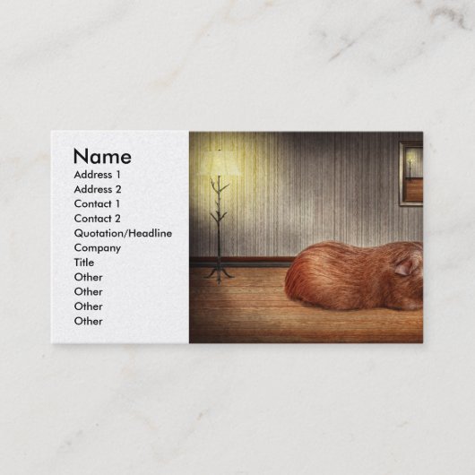 Tier - Guinea Visitenkarte (Vorderseite)