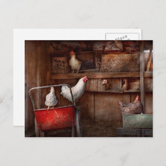 Tier - Huhn - Die Ente ist ein Spion Postkarte (Vorne/Hinten)