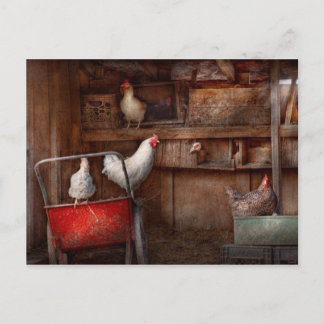 Tier - Huhn - Die Ente ist ein Spion Postkarte