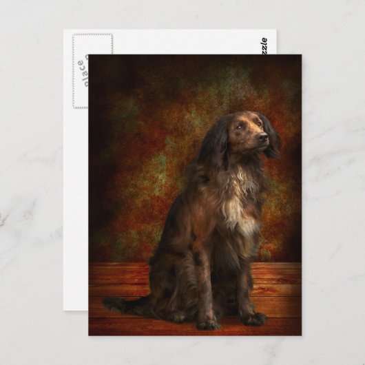 Tier - Hund - Cocker Spaniel - Diese verträumten A Postkarte (Vorne/Hinten)