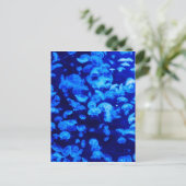 Tier Jelly Fish Water Blue Postkarte (Stehend Vorderseite)