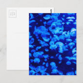 Tier Jelly Fish Water Blue Postkarte (Vorne/Hinten)