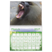 Tier-Kalander 20 Kalender (Mär 2027)