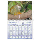 Tier-Kalander 20 Kalender (Jan 2027)