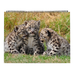Tier Kalender