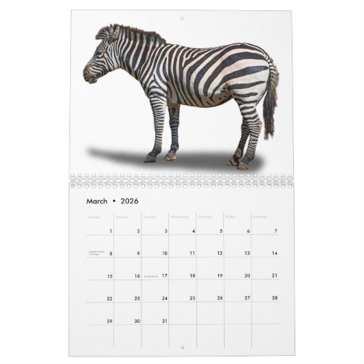 TIER KALENDER (Mär 2026)