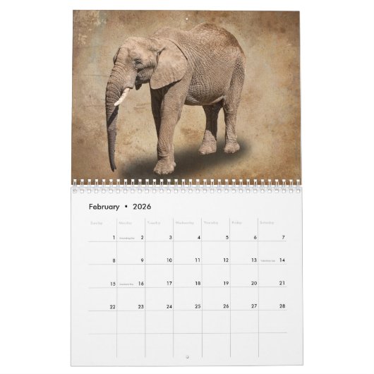 TIER KALENDER (Feb 2026)