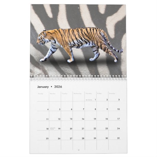 TIER KALENDER (Jan 2026)