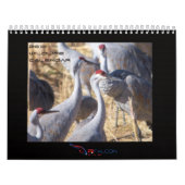Tier-Kalender 2012 Kalender (Titelbild)