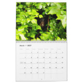 Tier-Kalender 2012 Kalender (Mär 2027)