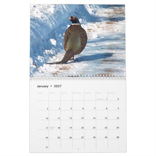 Tier-Kalender 2012 Kalender (Jan 2027)