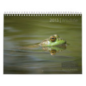 TIER-KALENDER 2013 DURCH MAYES %PIPE% FOTOS KALENDER (Titelbild)