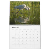 TIER-KALENDER 2013 DURCH MAYES %PIPE% FOTOS KALENDER (Mär 2027)