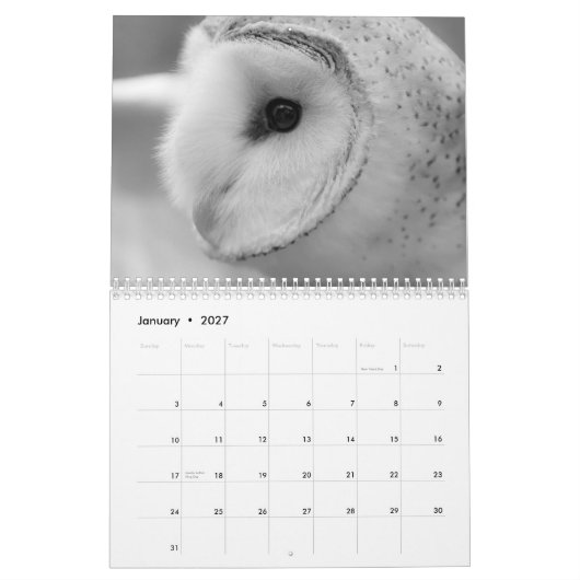 TIER-KALENDER 2013 DURCH MAYES %PIPE% FOTOS KALENDER (Jan 2027)
