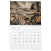 TIER-KALENDER 2013 DURCH MAYES %PIPE% FOTOS KALENDER (Feb 2027)