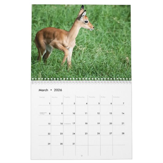 Tier-Kalender 2017 Kalender (Mär 2026)