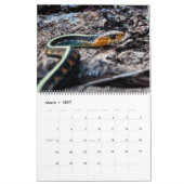 Tier-Kalender 2017 Kalender (Mär 2027)