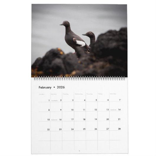 Tier-Kalender 2017 Kalender (Feb 2026)
