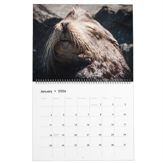 Tier-Kalender 2017 Kalender (Jan 2026)