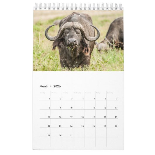 Tier-Kalender 2017 Kalender (Mär 2026)