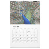 Tier-Kalender 20XX Kalender (Jan 2026)