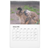 Tier-Kalender 20XX Kalender (Feb 2026)