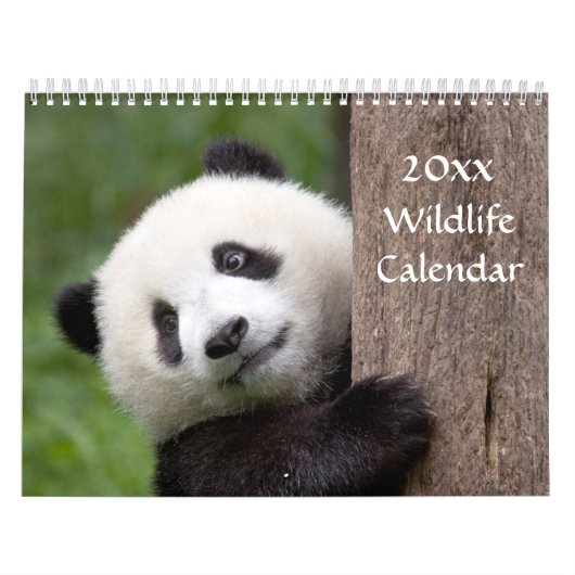 Tier-Kalender Kalender (Titelbild)