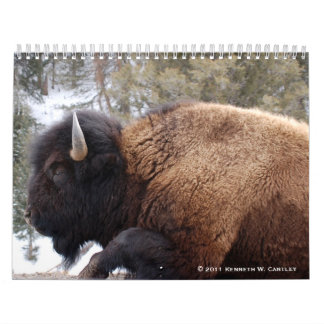 Tier-Kalender Kalender