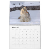 Tier-Kalender Kalender (Mär 2027)