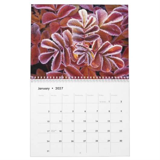 Tier-Kalender Kalender (Jan 2027)